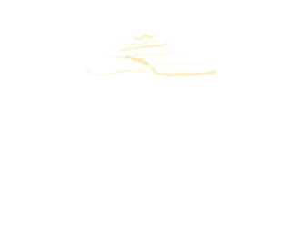 Apollo Home